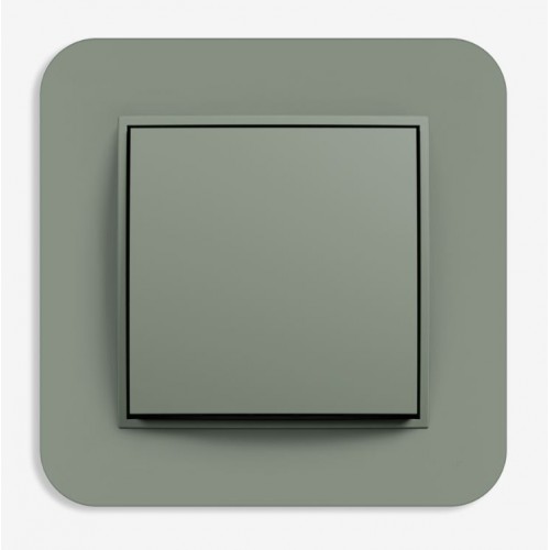 1 kl. jungiklis/perjungiklis Karlik MINI, matinės žalios sp.