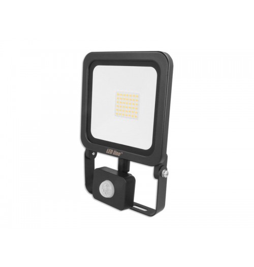 Prožektorius LEDLINE PHOTON 30W 4000K 2400lm IP65 su jud. davikliu